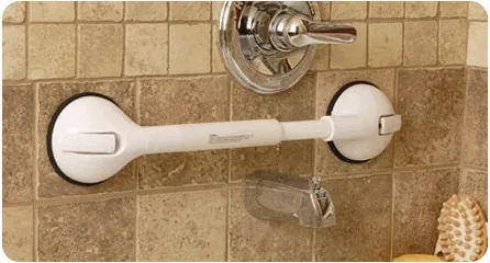 Bridge Medical Portable Suction Grab Bars