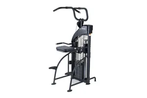 SportsArt DF-307/P711 Performance Dual Function Chin-Up/Tricep Dip